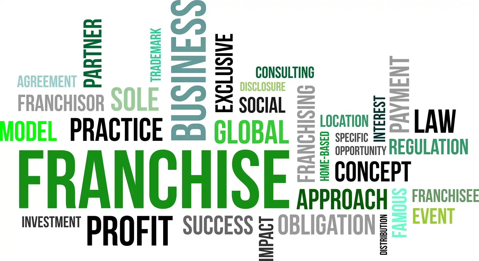 jenis franchise